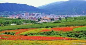 延龙口服液里的女主播(延边州迎来65岁寿诞，看看经济社会发展都啥样)