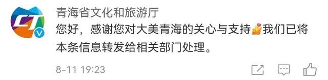 网红主播采摘“雪莲花”还拍视频炫耀?当地回应