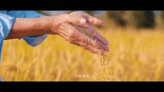 重庆麻辣明星将助阵忠县!第三届中国农民丰收节