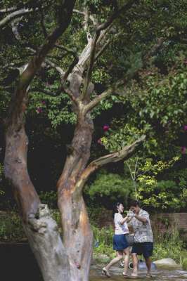 韩国女主播朴呢热舞(《无可奈何》首曝剧照 李秉宪、孙艺珍溪流中热舞)