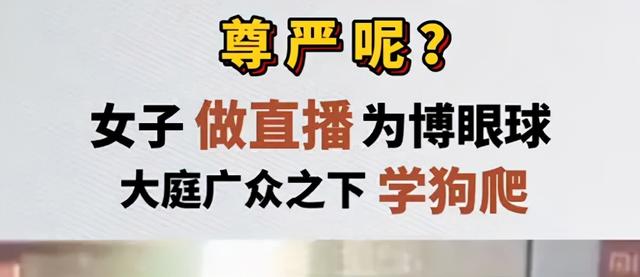 女网红直播打屁股和学狗爬:丑态百出