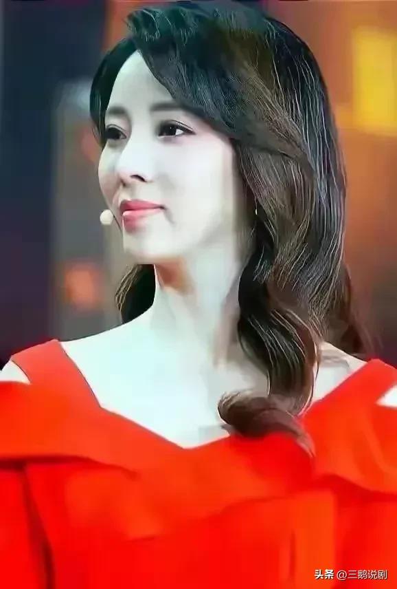 中国最好看最有韵味的十六个美女主持人