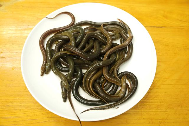 河南“另类”美食排行!黄鳝倒数,毛蛋排第1,全吃过绝对河南人