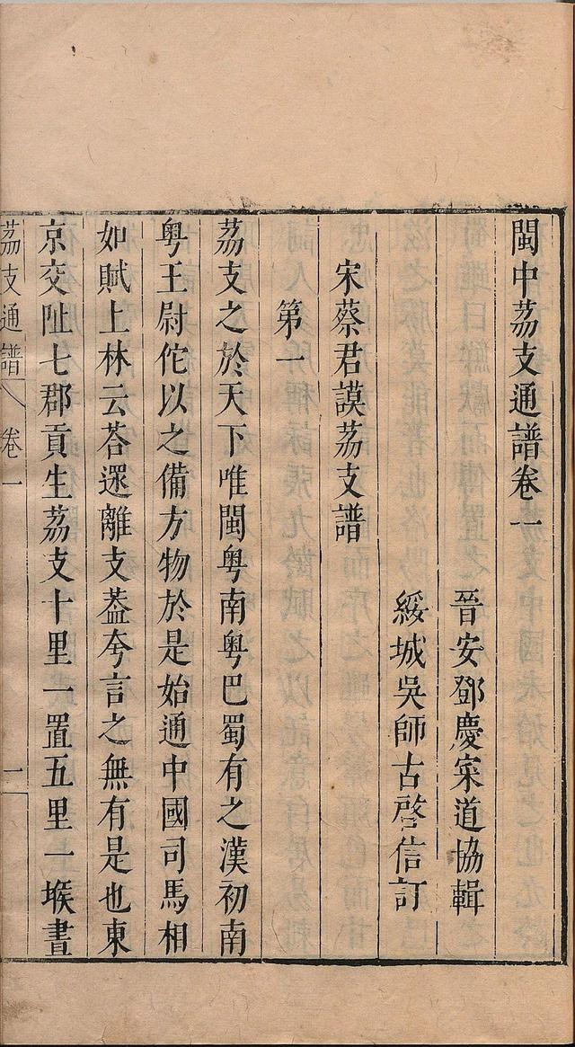 杨贵妃的荔枝何处来?唐宋荔枝保鲜有什么办法?