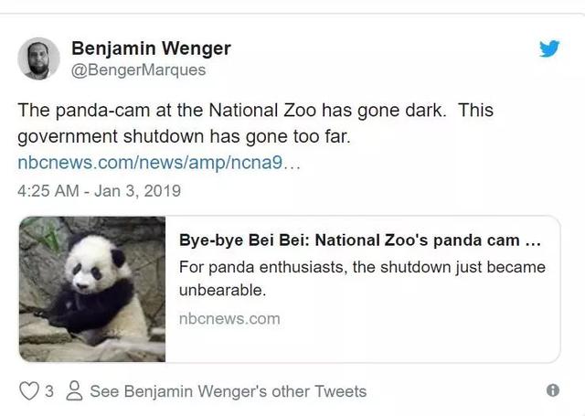 美国政府关门,“直播熊猫”画面被掐!美国网友炸锅:你们把我惹毛了