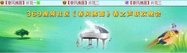 春风拂面——369视频社区春之声联欢晚会
