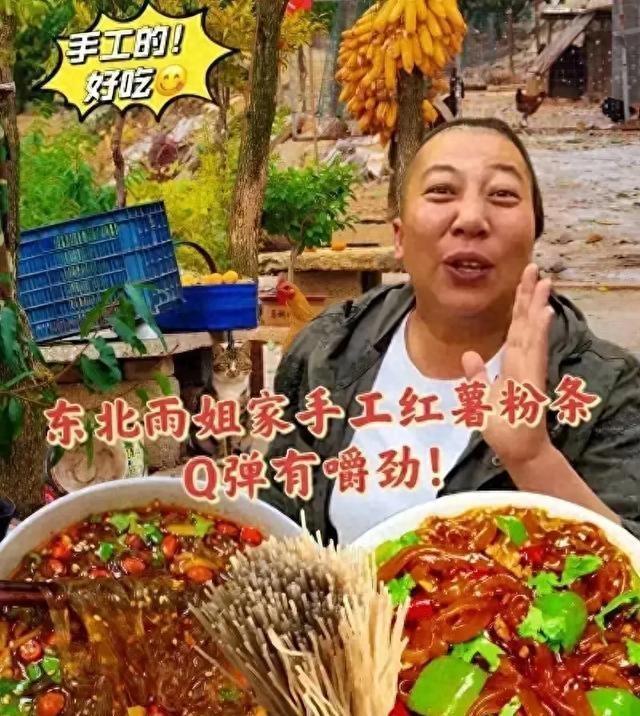 东北雨姐改名后继续直播，引发网友热议，12345投诉热线被打爆