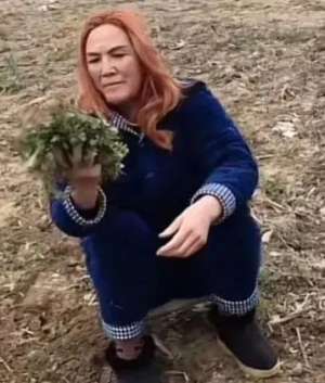 女主播娜娜(俄罗斯娜娜怎么火起来的)