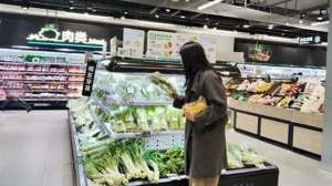 21时之女主播种子(“板蓝根青菜”火了，怎么个事？)