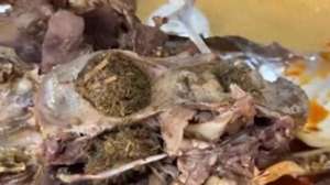 女主播青草大尺度视频(博主直播吃卤羊头时吃出青草，官方通报：属实)