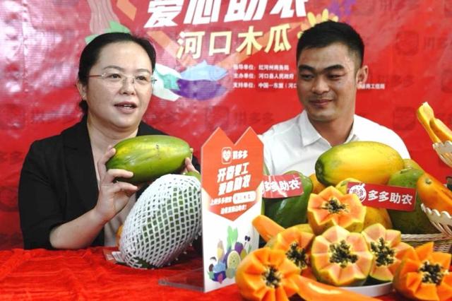 瑶族女县长拼多多直播:半小时售80吨木瓜,为云南河口创出新品牌