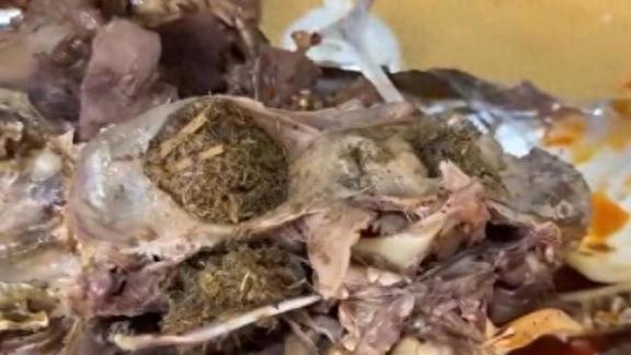 博主直播吃卤羊头时吃出青草,官方通报:属实