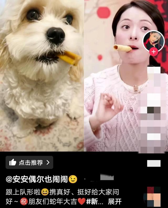 董宇辉晒宠物拜年上热搜,团队举动看出凝聚力,网友评论引热议