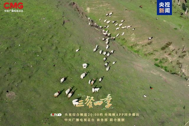 《三餐四季》寻味青海,品尝高原独特味道