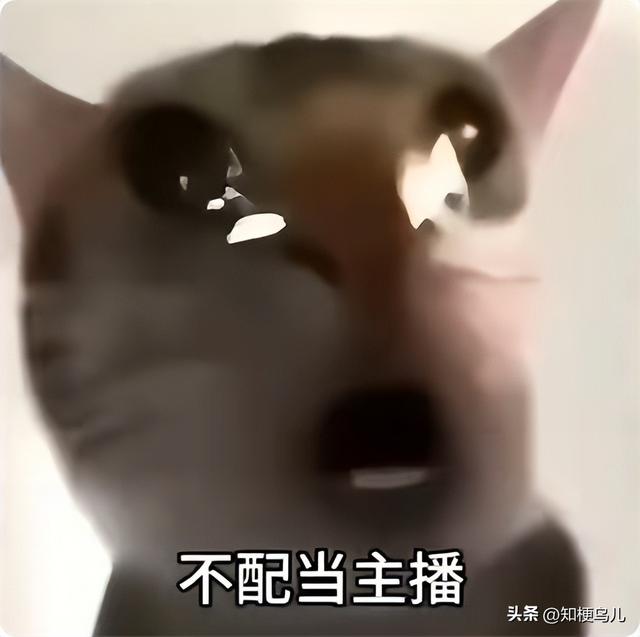 妩媚大主播是什么梗?我是小军师,你不配当主播