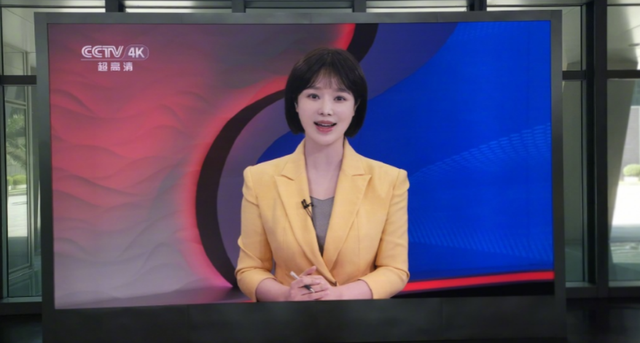 央视美女主播胡蝶:父亲人生梦想引路人她闪婚著名导演真的幸福吗