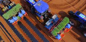 tgp女主播糖西(食安“不妥协”，康师傅方便面引领行业品质升级之路)