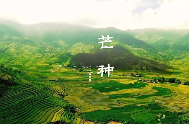 夜读｜芒种“忙种”，勿负光阴！