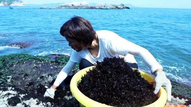 她辞职后在抖音直播赶海,两年获400万网友关注月销百万海鲜