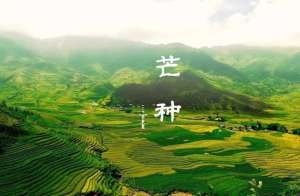 韩国女主播视频羽莳(夜读｜芒种“忙种”，勿负光阴)