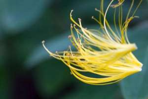 韩国女主播素敏56(人生最好的境界，是内心的丰盈)