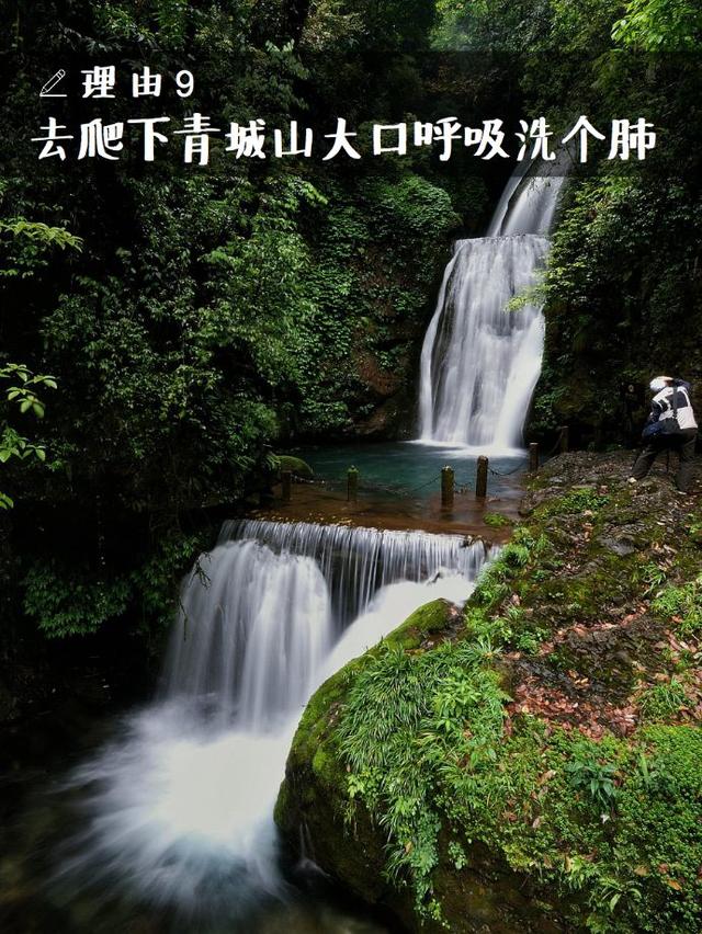 成都小伙99元都要上交给老婆?就算当“耙耳朵”,我也想留在成都!