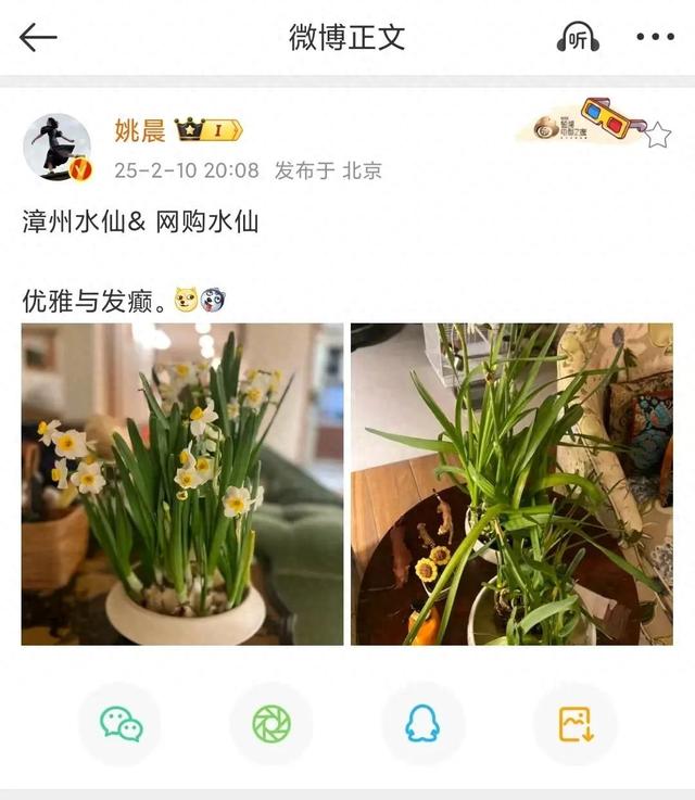 姚晨“拍了拍”漳州水仙!
