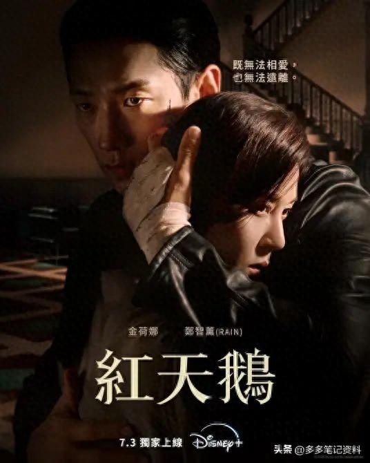 金荷娜的10部精彩韩剧!从《红天鹅》到《罗曼史》,演绎多样人生