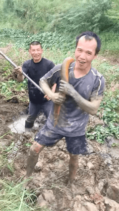 天下奇闻:江西老张田间挖出“黄鳝巨龙”,重量破纪录!