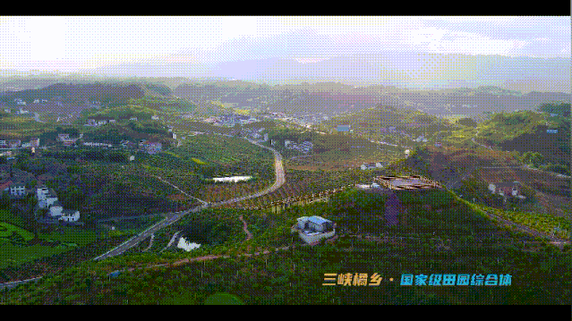 重庆麻辣明星将助阵忠县!第三届中国农民丰收节