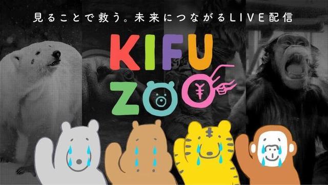 日本景区“VR直播”促复苏，企鹅“在线散步”求打赏