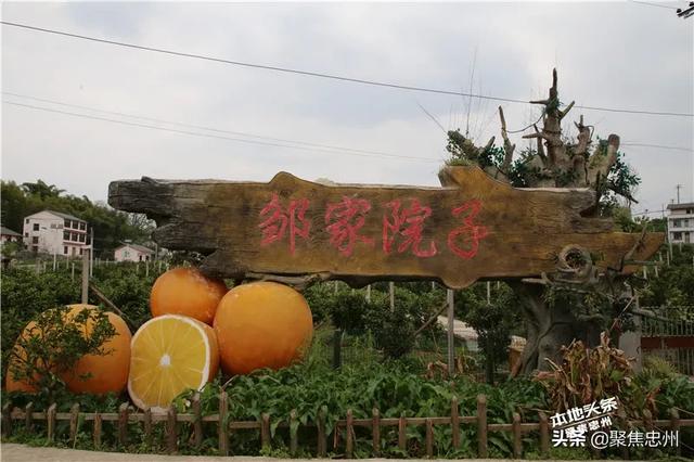 重庆麻辣明星将助阵忠县!第三届中国农民丰收节