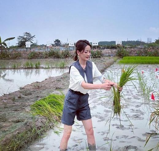 9个大美女，是央视各频道的当家花旦”，最性感的是六公主”