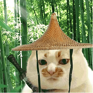沫子透视装直播引热议,读私信内容曝光震惊网友!