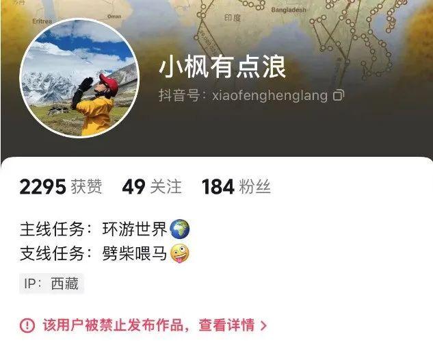 网红主播采摘“雪莲花”还拍视频炫耀?当地回应