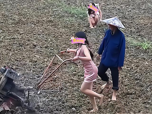 为流量打擦边球?网红严素穿黑丝短裙下田干农活,网友:建议封杀