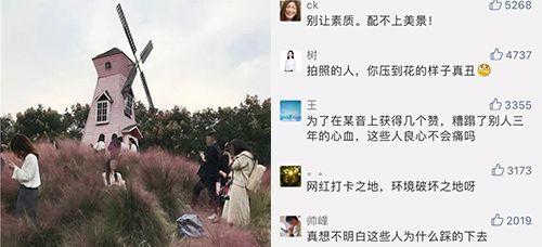 绍兴29岁小伙不幸殒命!浙江叫停这类“暴富生意”,已处理25万人