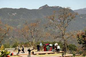 韩国女主播李连珠在线(最佳赏柿季来永嘉这里沾沾“柿柿如意”的喜气)