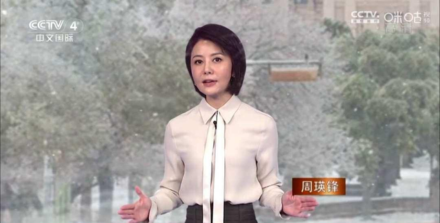 央视中文国际频道十大新闻美女主播,谁实力最强?