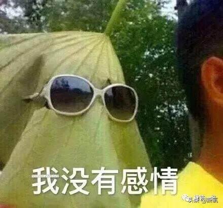 真相!赵丽颖的巴掌腰和拉丝胸原来是这么吃出来的,活该她瘦