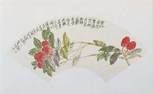 南方一台女主播马荔(杨贵妃的荔枝何处来？唐宋荔枝保鲜有什么办法？)