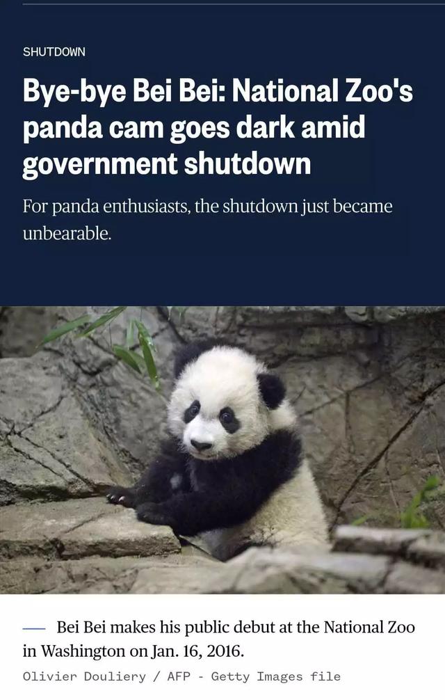 美国政府关门,“直播熊猫”画面被掐!美国网友炸锅:你们把我惹毛了