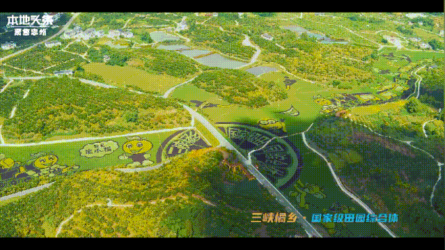 重庆麻辣明星将助阵忠县!第三届中国农民丰收节