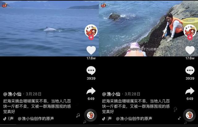 她辞职后在抖音直播赶海,两年获400万网友关注月销百万海鲜
