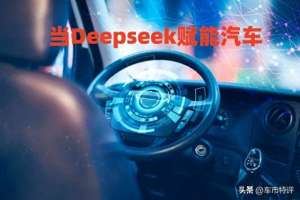 no9女主播(避坑2025年九大新能源品牌或将面临倒闭，Deepseek揭秘背后原因)