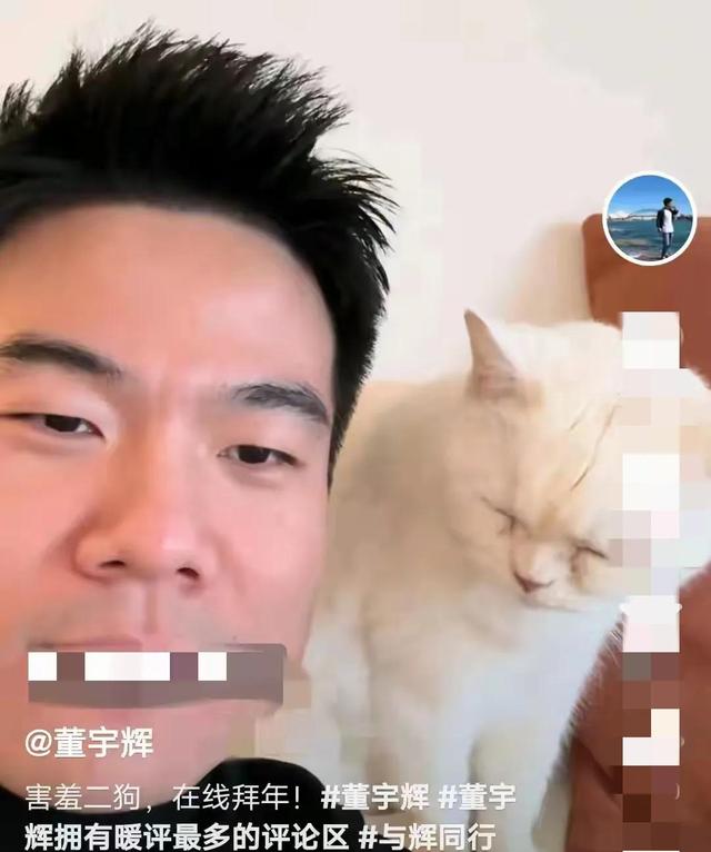 董宇辉晒宠物拜年上热搜,团队举动看出凝聚力,网友评论引热议