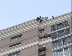 女主播整容失败,上午轻生救回,晚上跳楼身亡