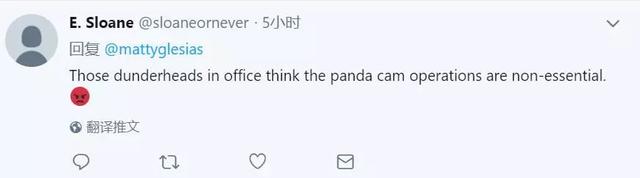 美国政府关门,“直播熊猫”画面被掐!美国网友炸锅:你们把我惹毛了