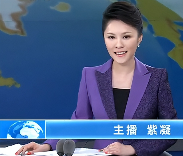 央视主播紫凝:生活节俭,贷款买车,41岁单身生活质量高