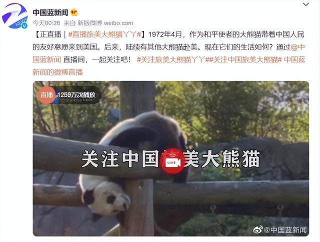 “丫丫”到底怎么了?骨瘦如柴、毛发脱落 → 网友:像吸毒了一样!